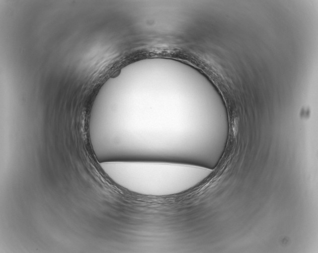 X0000094351396200711021302