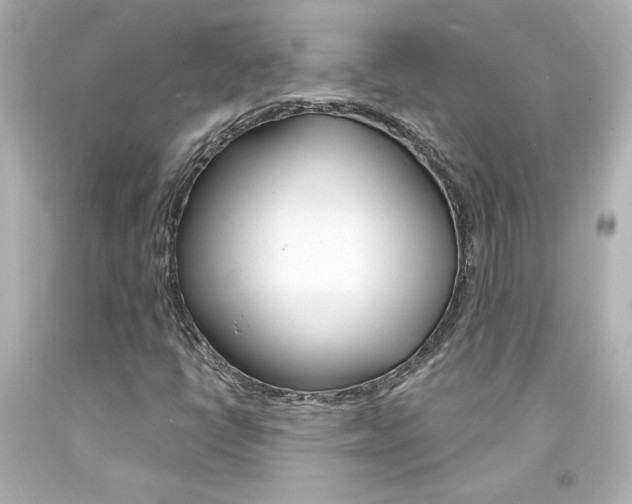 X0000094351398200711021302
