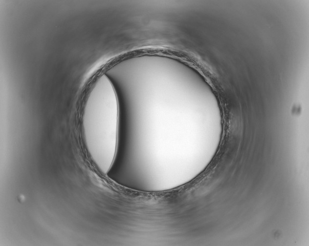 X0000094351400200711021302