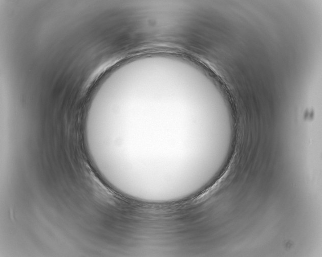 X0000094351402200711021302