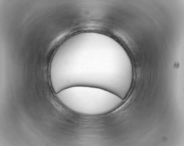 X0000094351403200711021302