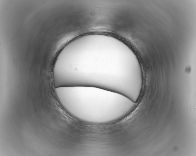 X0000094351405200711021302