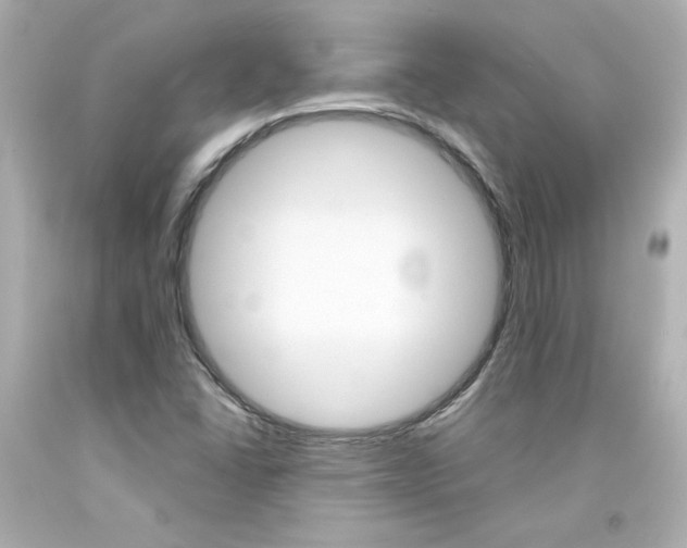 X0000094351406200711021302