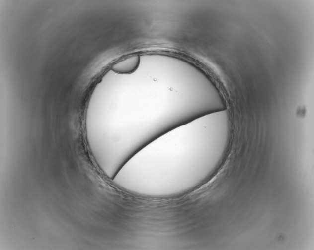 X0000094351407200711021302