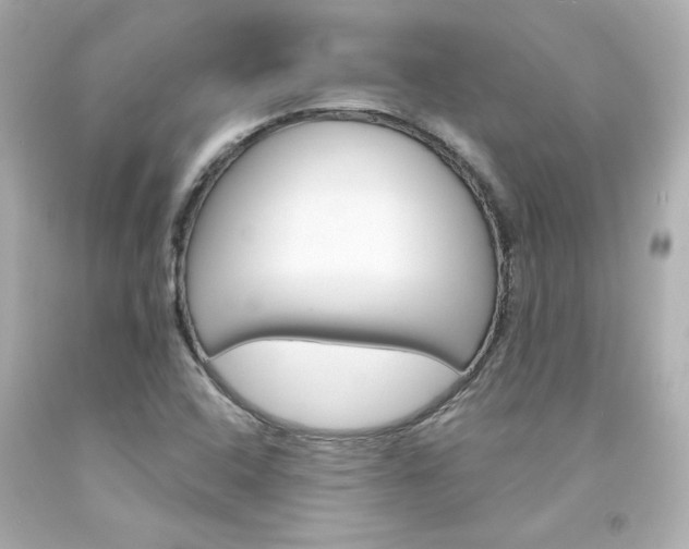 X0000094351408200711021302