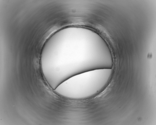X0000094351409200711021302