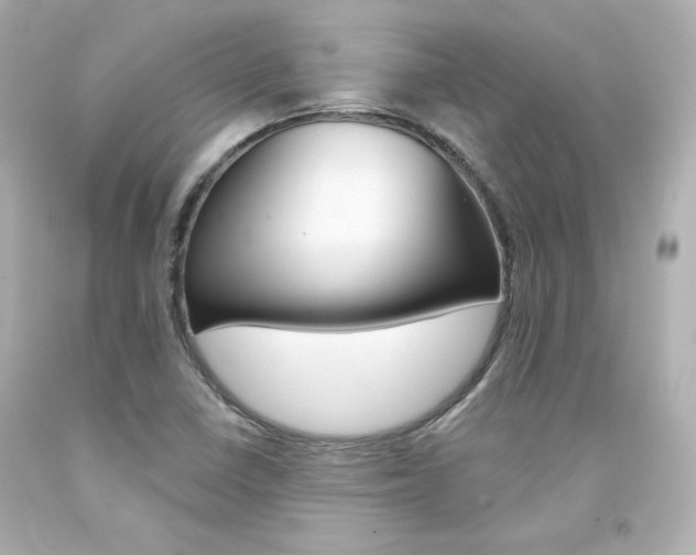 X0000094351410200711021302
