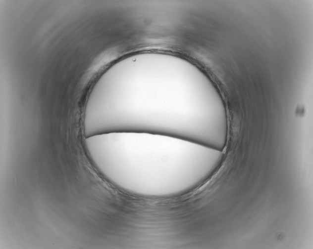 X0000094351411200711021302