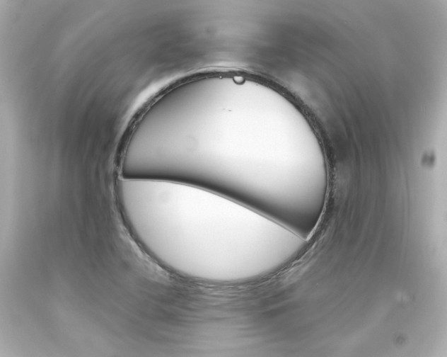 X0000094351412200711021302