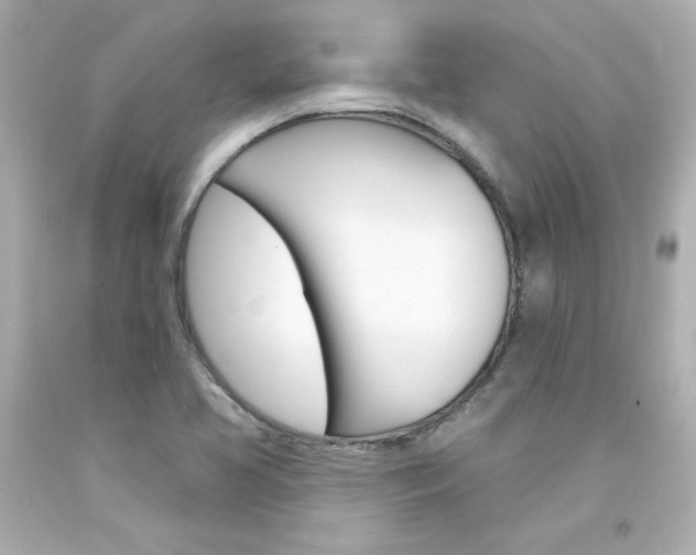 X0000094351413200711021302