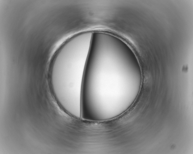 X0000094351414200711021302