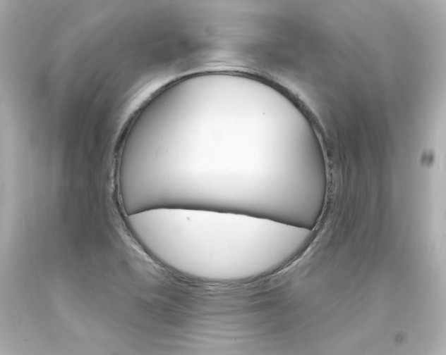 X0000094351415200711021302