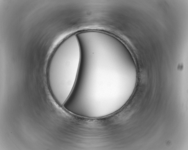 X0000094351416200711021302
