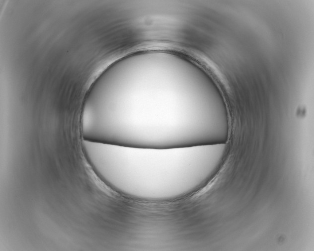 X0000094351417200711021302
