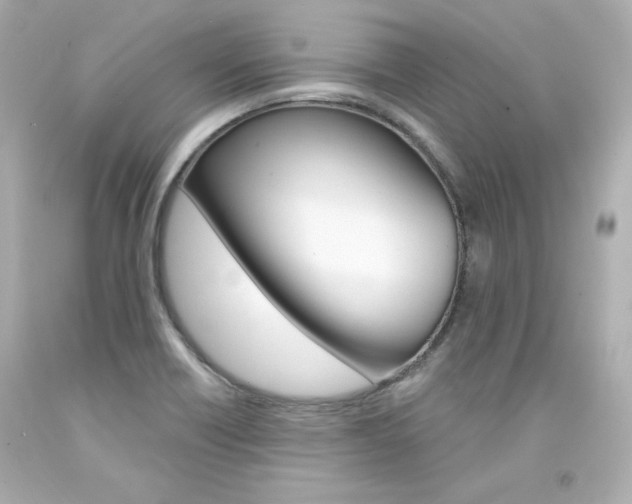 X0000094351418200711021302