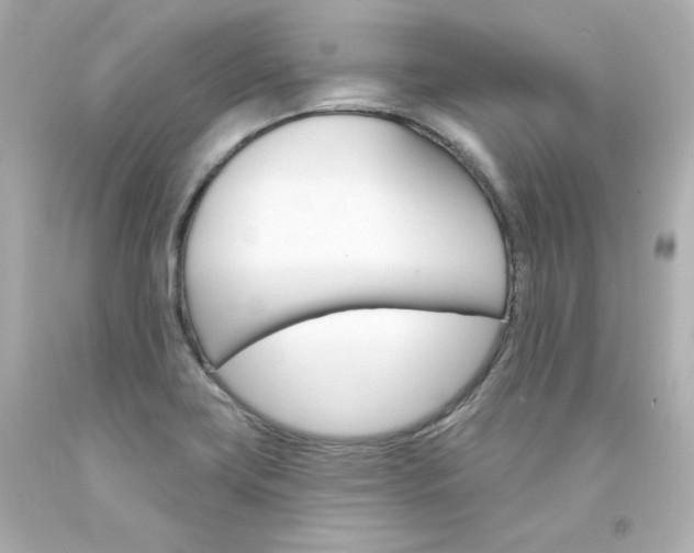 X0000094351419200711021302