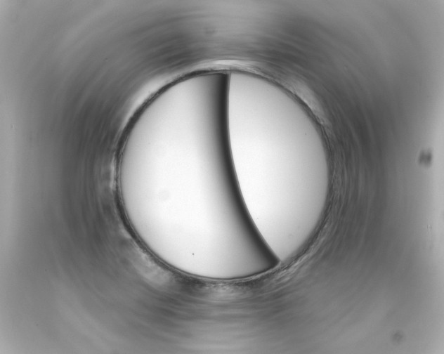 X0000094351420200711021302