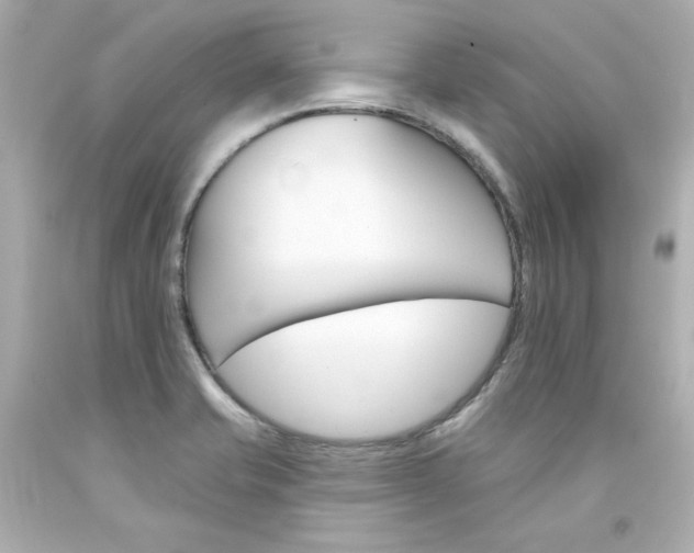 X0000094351421200711021302