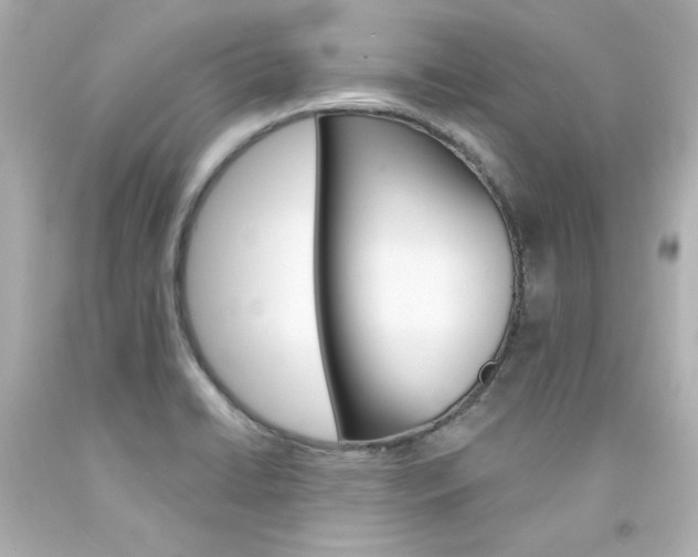X0000094351422200711021302