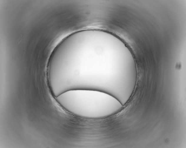 X0000094351423200711021302