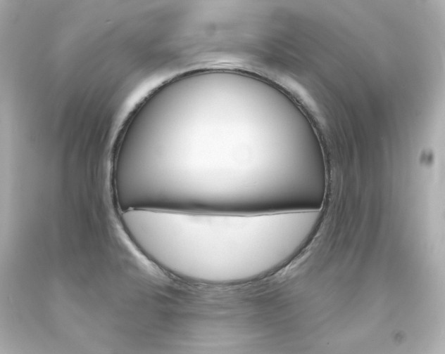 X0000094351424200711021302