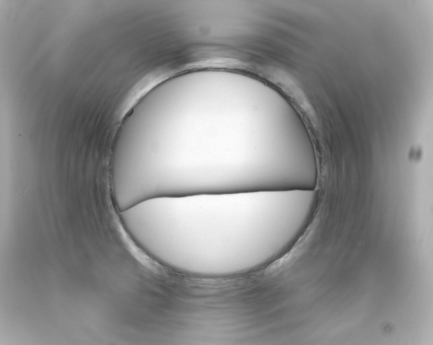 X0000094351425200711021302
