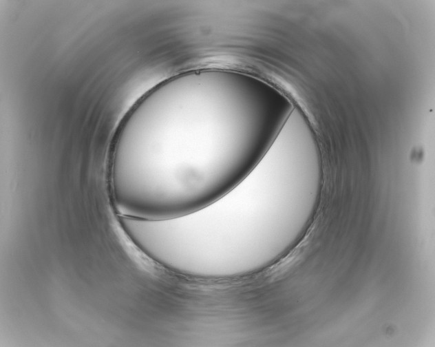 X0000094351426200711021302