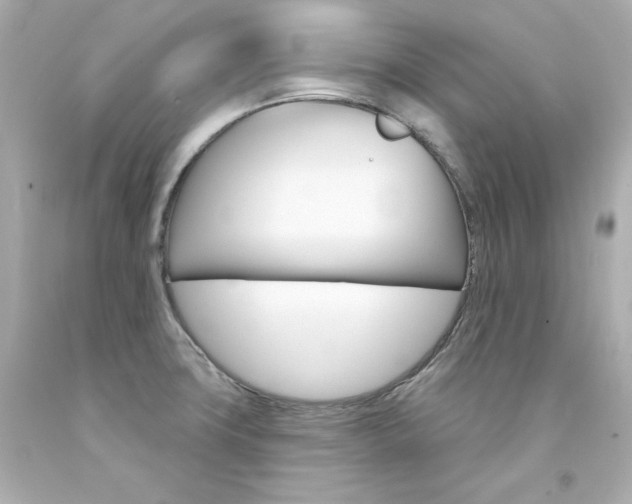 X0000094351427200711021302