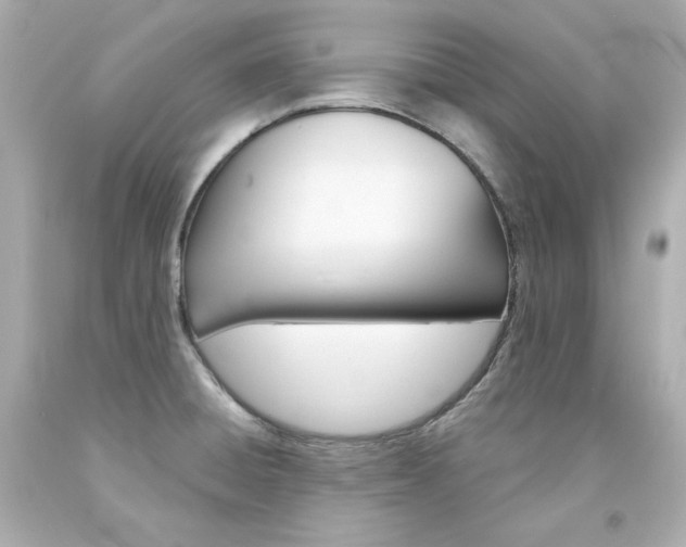 X0000094351428200711021302