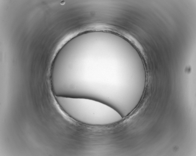 X0000094351429200711021302