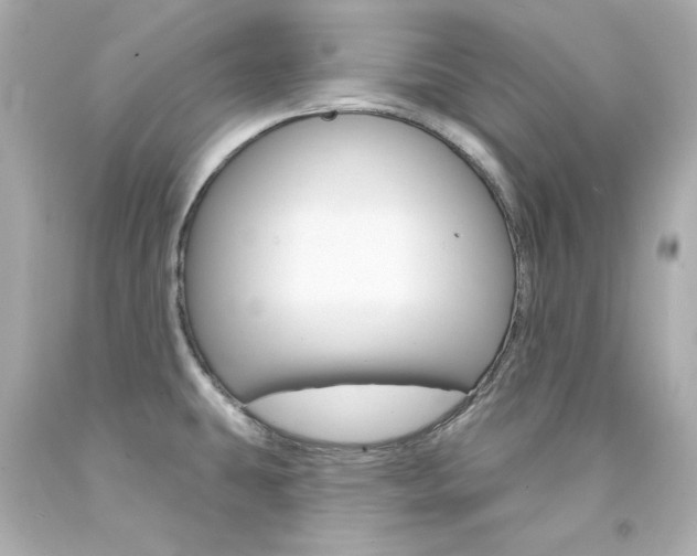 X0000094351431200711021303