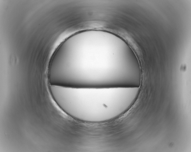 X0000094351432200711021303