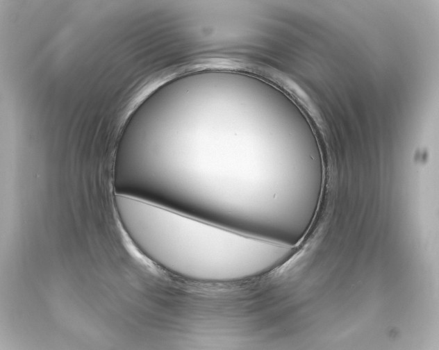 X0000094351433200711021303