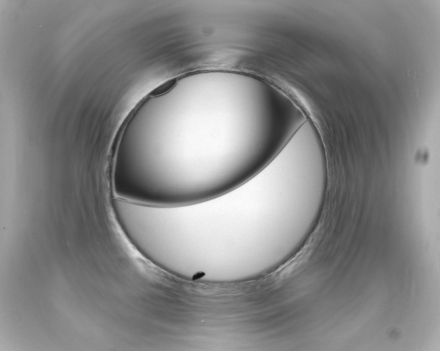 X0000094351434200711021303