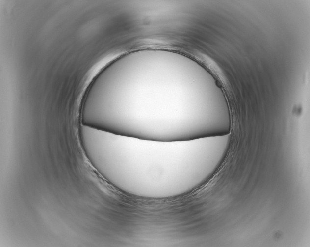 X0000094351435200711021303
