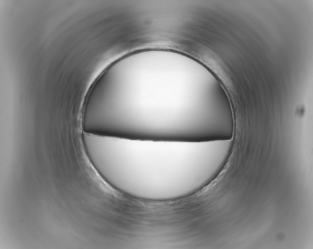 X0000094351436200711021303
