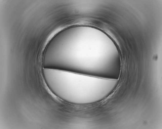 X0000094351437200711021303