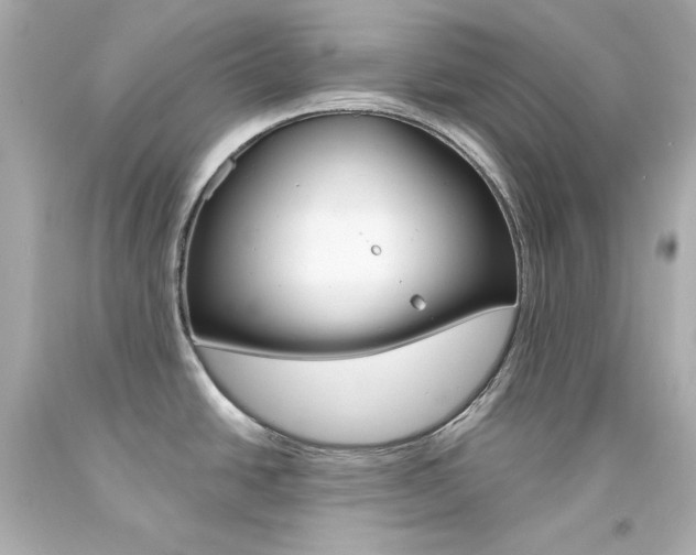 X0000094351438200711021303