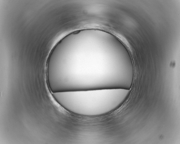 X0000094351439200711021303
