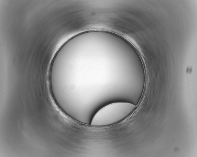 X0000094351440200711021303