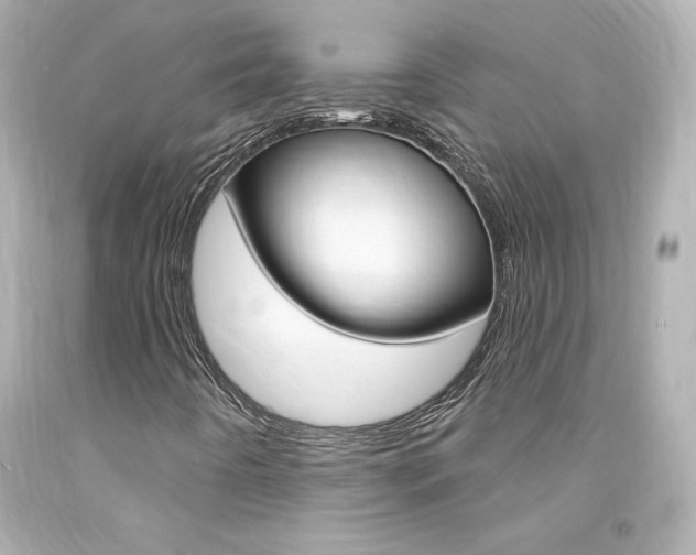 X0000094351442200711021302