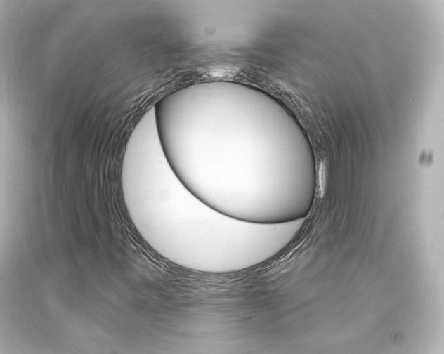 X0000094351443200711021302
