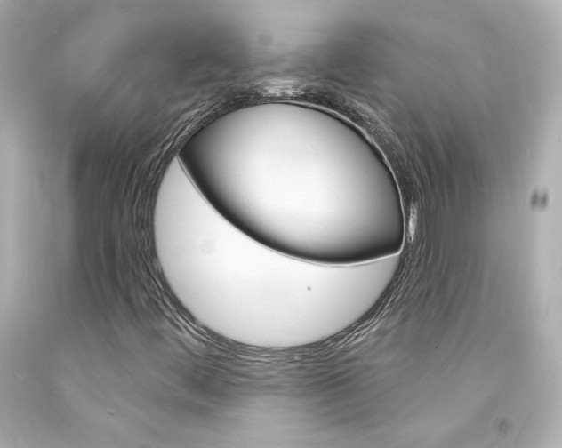 X0000094351444200711021302