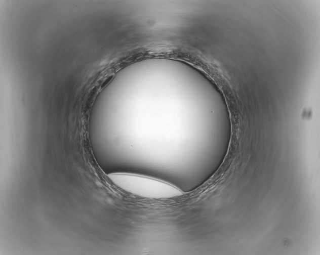 X0000094351445200711021302