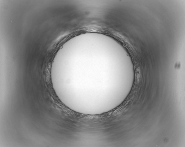 X0000094351446200711021302