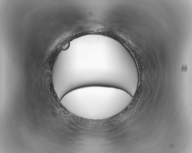 X0000094351447200711021302