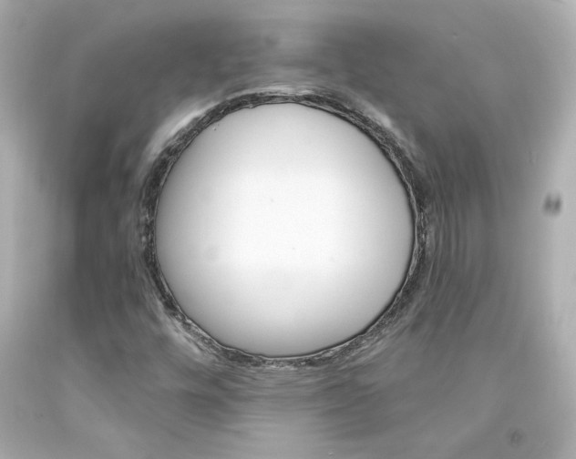 X0000094351448200711021302