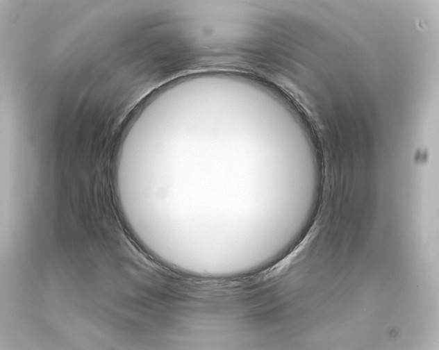 X0000094351449200711021302