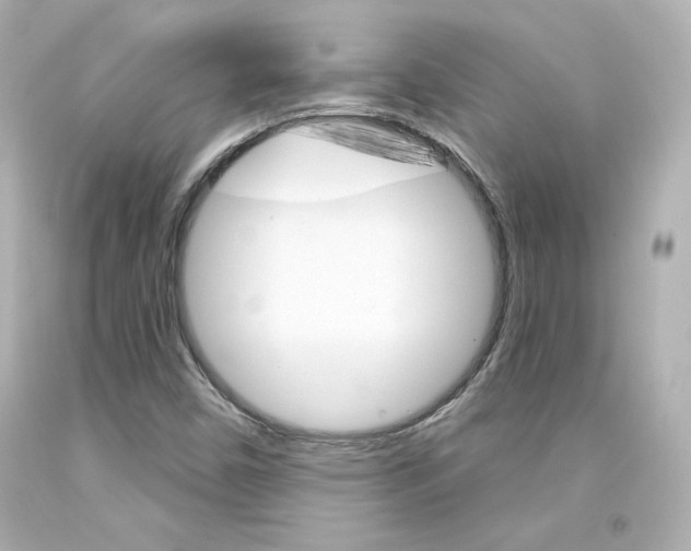 X0000094351450200711021302