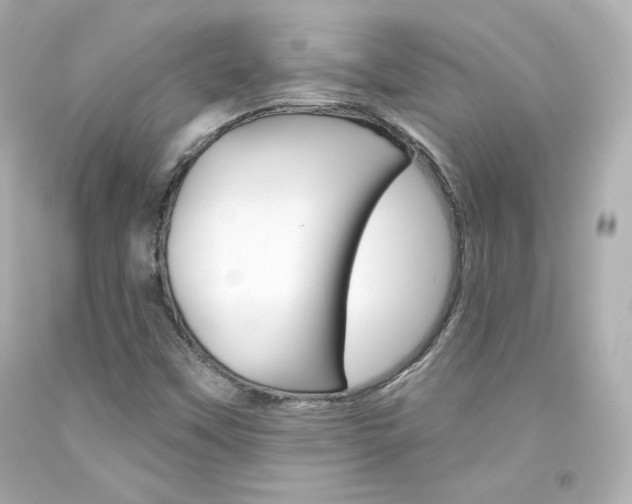 X0000094351451200711021302